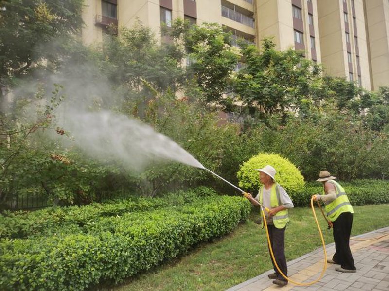 物业行业最新动态：小区物业管理提升与挑战
